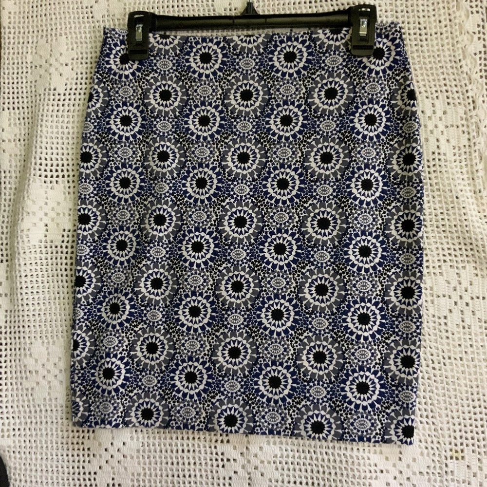 Ann Taylor Skirt